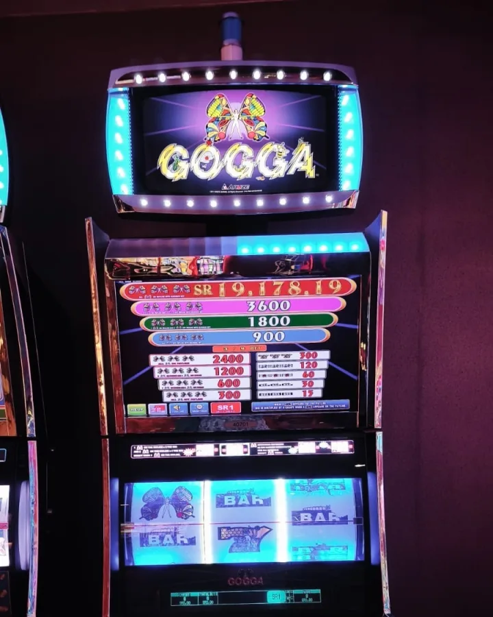 The Gogga machine on the Victoria Casino floor